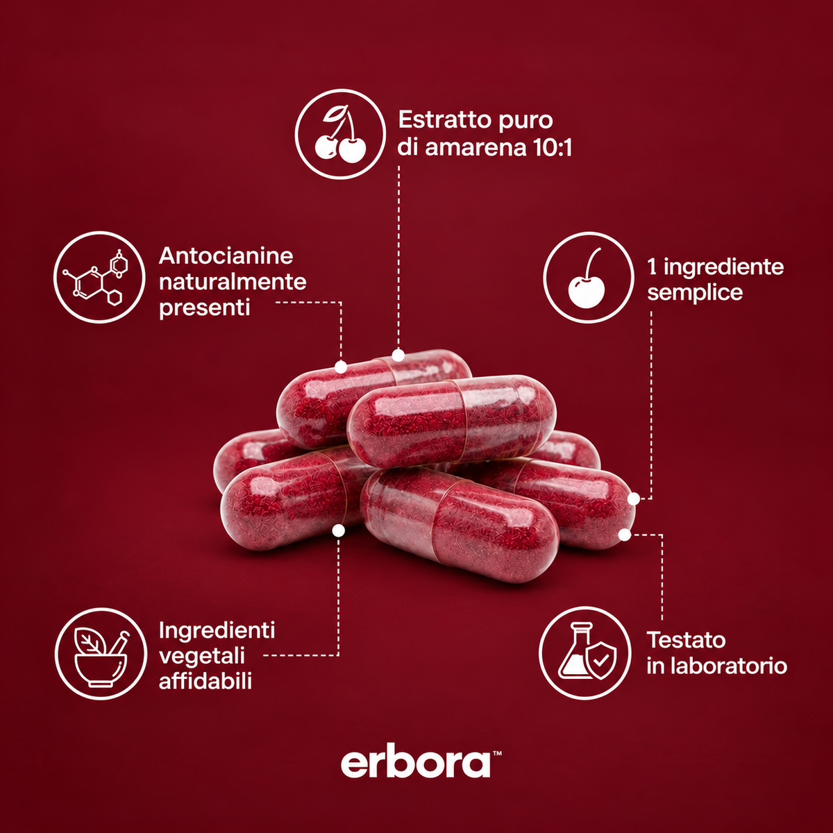 Erbora+ Estratto di Amarena