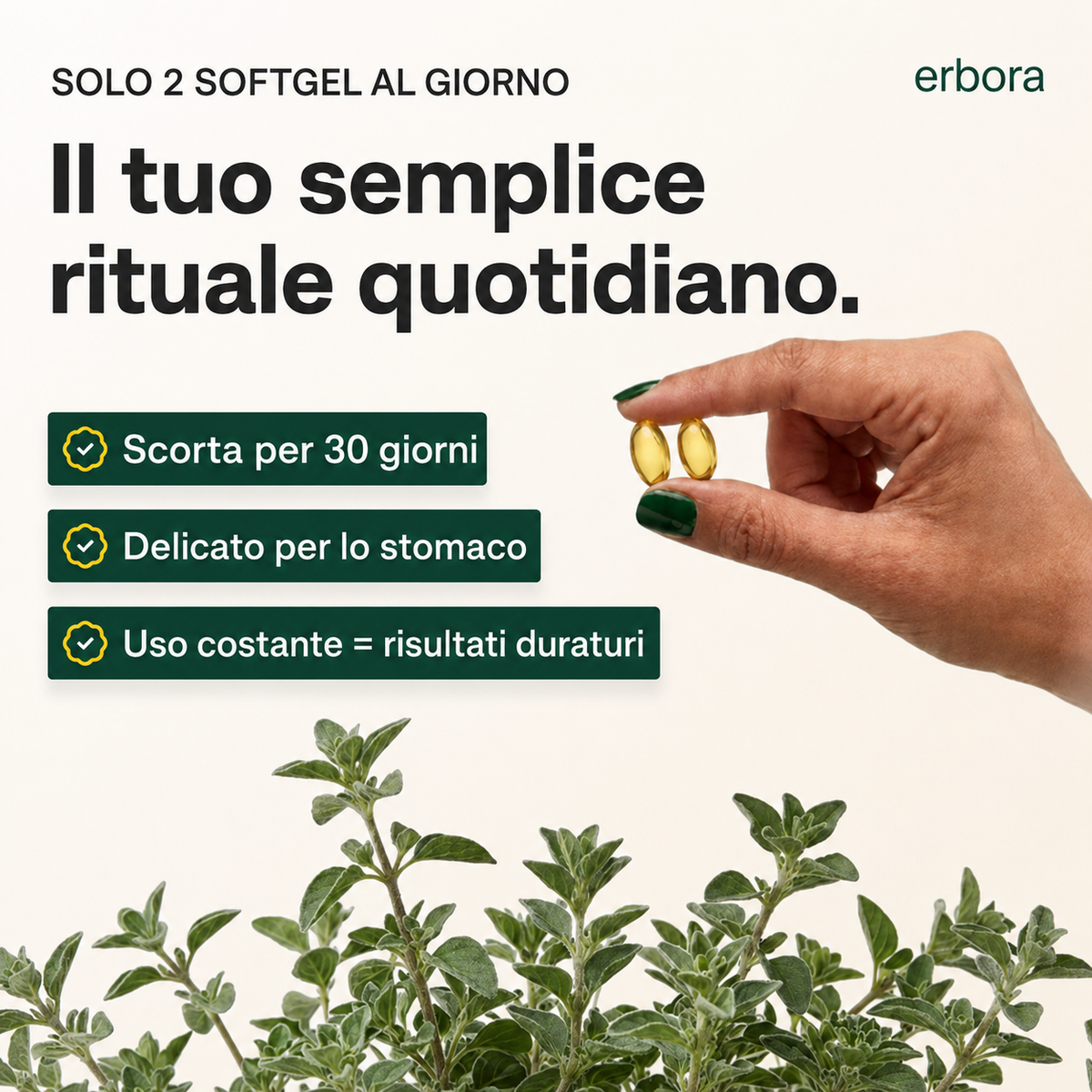 Origano+ Cumino Nero