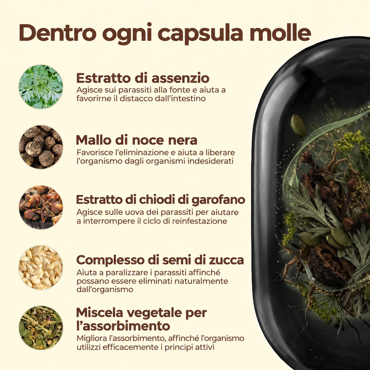 Erbora+ 18-IN-1 | Elimina Parassiti e Larve Nascosti
